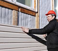 Best Custom Trim and Detailing for Siding  in Marfa, TX